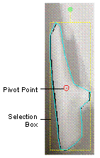 Outline and repositioning of fracture fragment